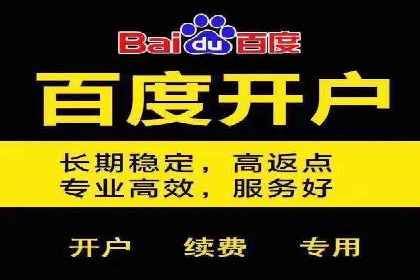 百度竞价广告代运营如何帮助某科技公司提升品牌知名度